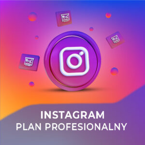 Plan Profesjonalny na Instagramie